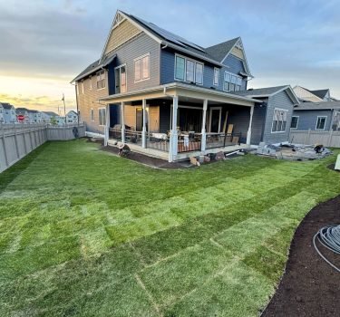 Sod Installation